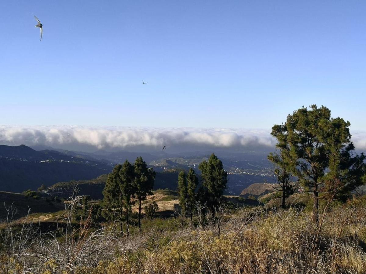Vv Rural Finca Ecocielo فيغا دي سان ماتيو المظهر الخارجي الصورة