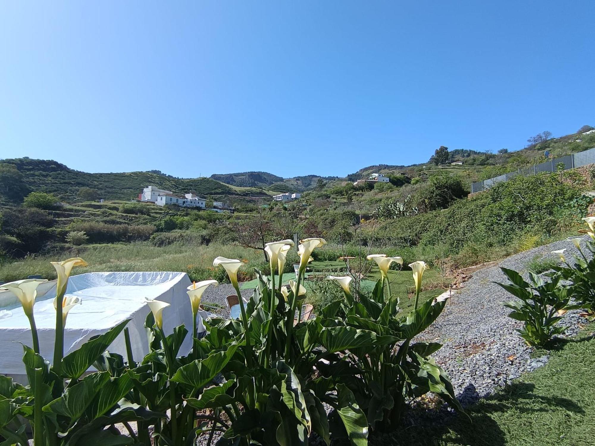 فيلا Vv Rural Finca Ecocielo فيغا دي سان ماتيو المظهر الخارجي الصورة