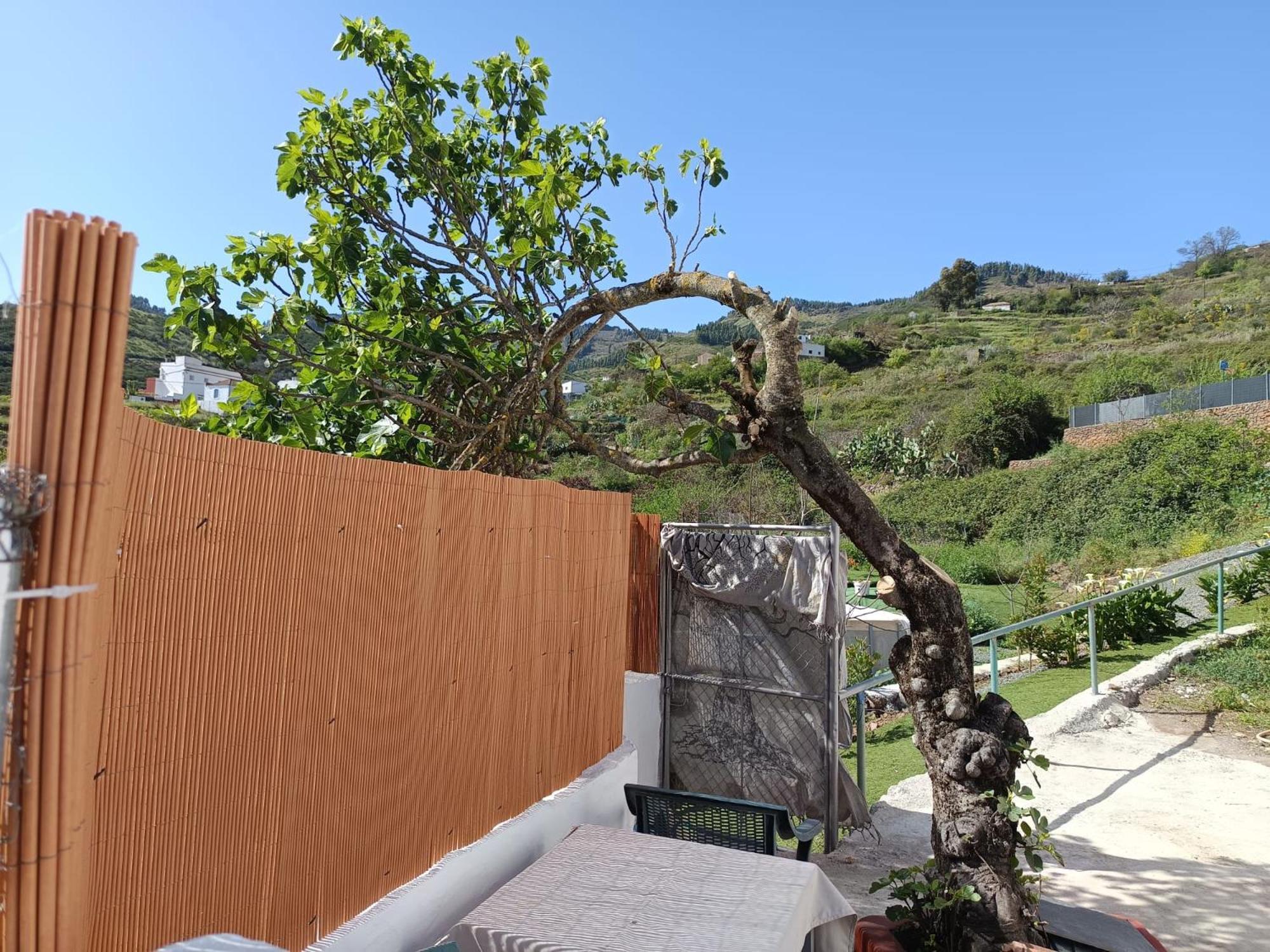 Vv Rural Finca Ecocielo فيغا دي سان ماتيو المظهر الخارجي الصورة